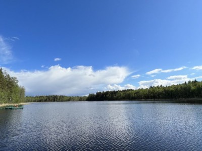 баня, баня беларусь, русская баня, баня сауна, снять баню, аренда бани, бани витебская область.