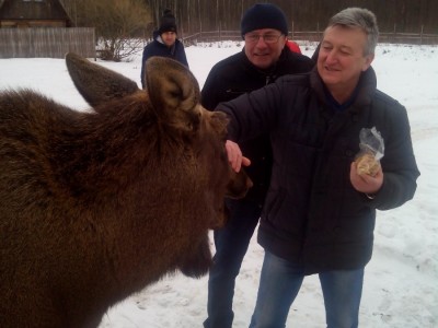охота в беларуси, охотхозяйство, охота и рыбалка в Беларуси, охота в Республике Беларусь, охотничий комплекс