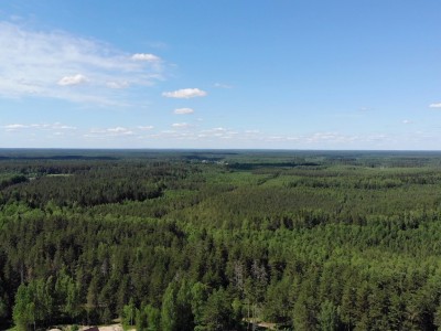 отдых, активный отдых, база отдыха, туристический комплекс, загородный комплекс, охота, рыбалка